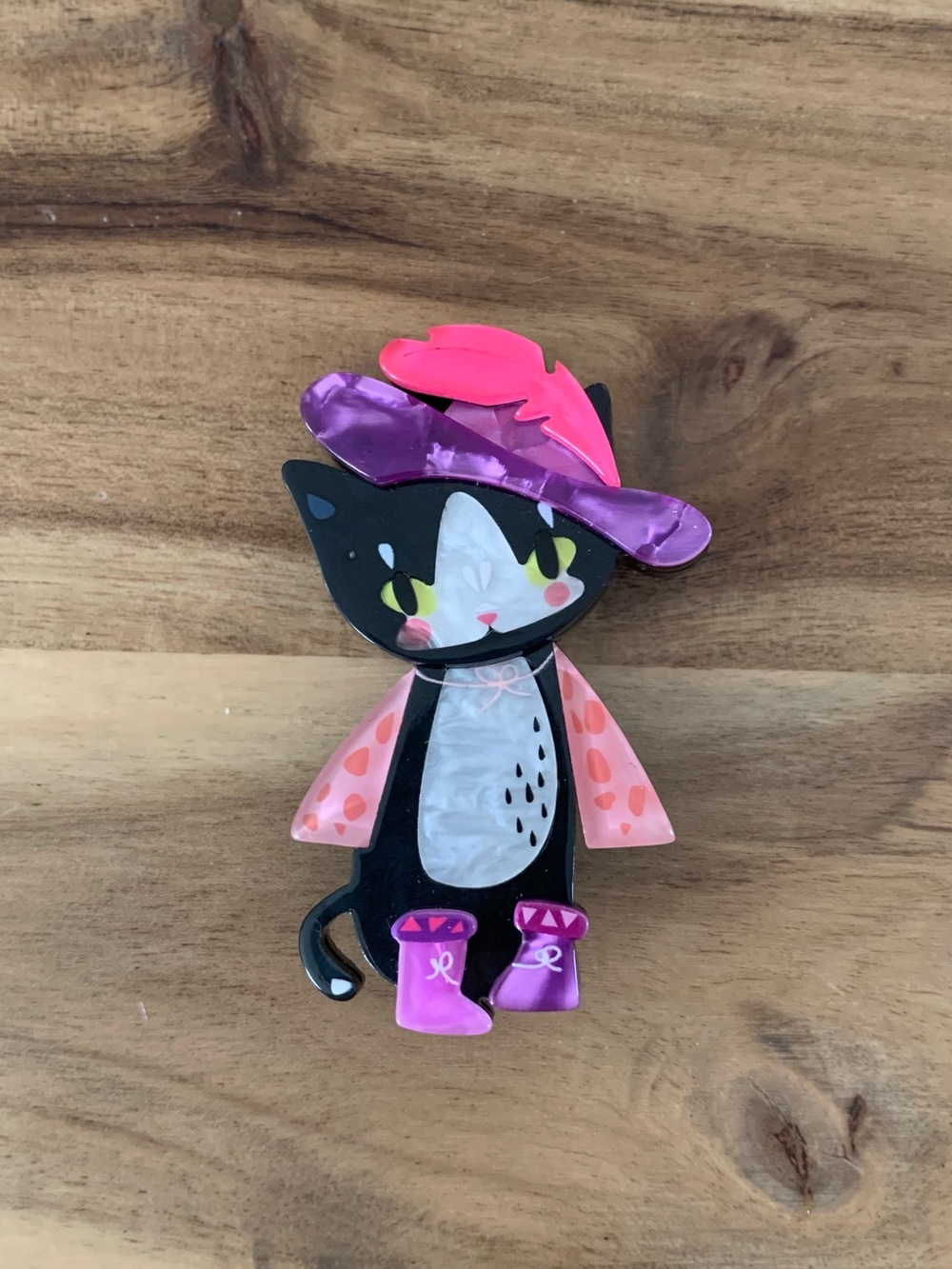 Erstwilder Bet Your Boots Brooch cat Pin NWOT